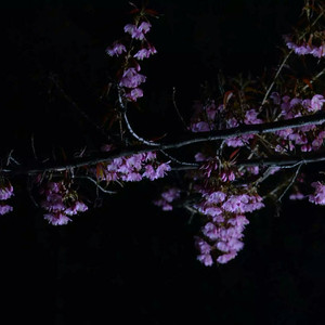 亚洲瘦老头同性XXXX网站
